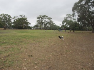 John Butler Reserve Fenced Dog Park (Mount Eliza)