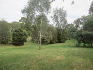 Kate Campbell Reserve Dog Off Leash Area (Kew)