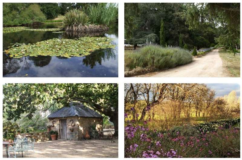 Sidonia - Bringalbit Historic Gardens