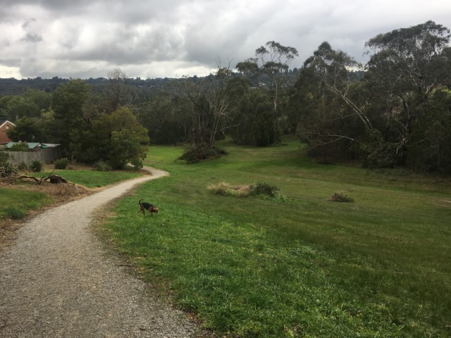 Lakeview Reserve Dog Off Leash Area (Lilydale)