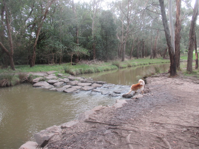 Lillydale Lake North West Dog Off Leash Area (Lilydale)