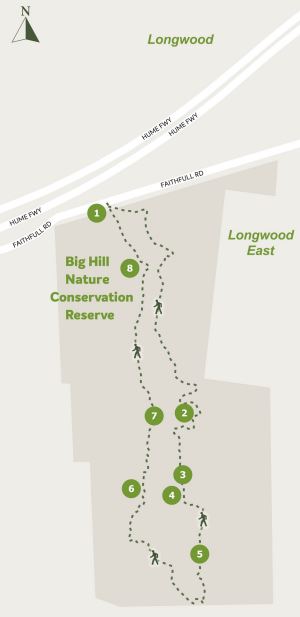 Longwood East - Big Hill Walk