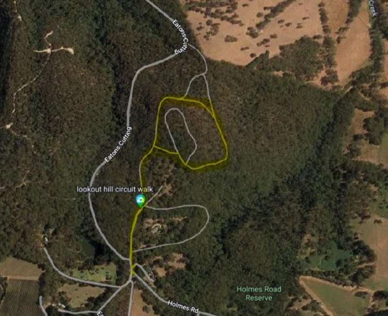 Lookout Hill Circuit Walk (Red Hill)