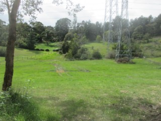 Lookover Reserve Dog Off Leash Area (Donvale)