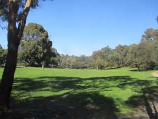 Marshall Reserve Dog Off Leash Area (Doncaster)