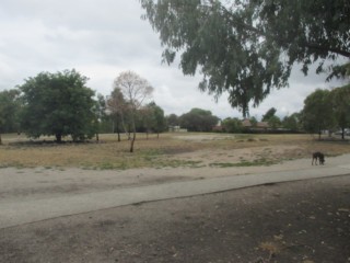 Martin Reserve Fenced Dog Park (West Footscray)