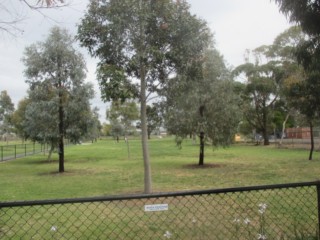 McIvor Reserve Fenced Dog Park (Yarraville)