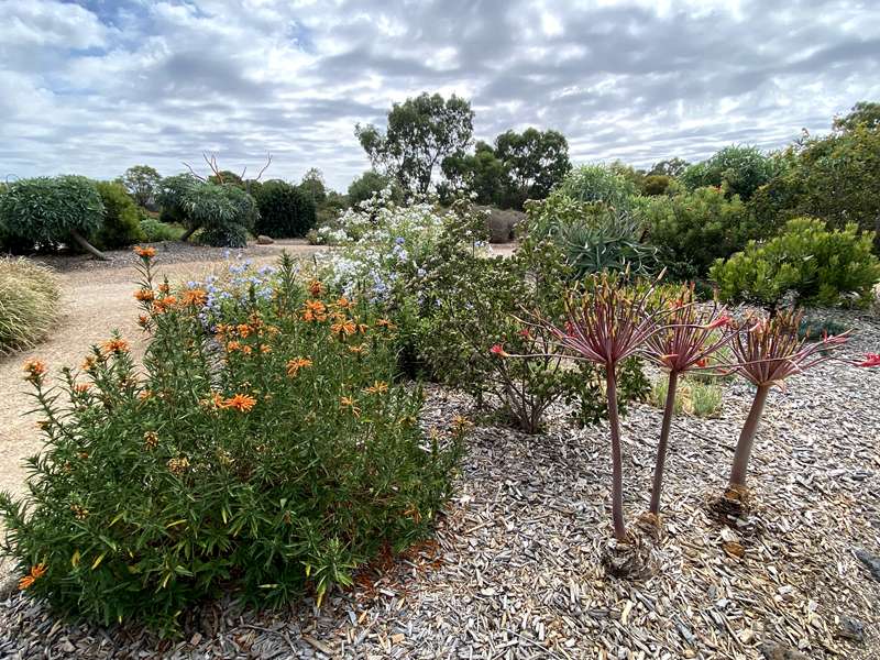 Melton Botanic Garden (Melton)