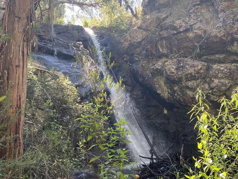 Mount Macedon - Stanley Park & Waterfall