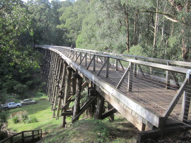 Noojee - Trestle Bridge Walk