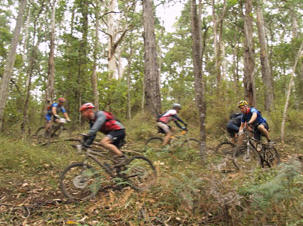 Otway Eco Tours - Forrest Mountain Bikes