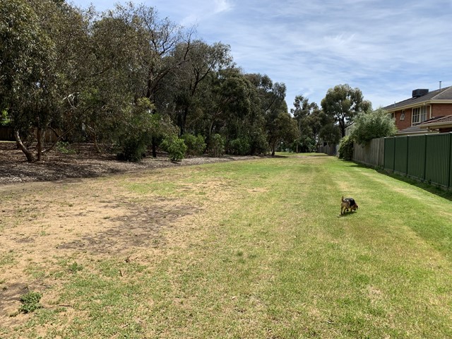 Outer Circle Linear Park - High Street to Argyle Road Dog Off Leash Area (Kew)
