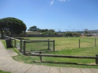 Pier Street Reserve Fenced Dog Park (Dromana)