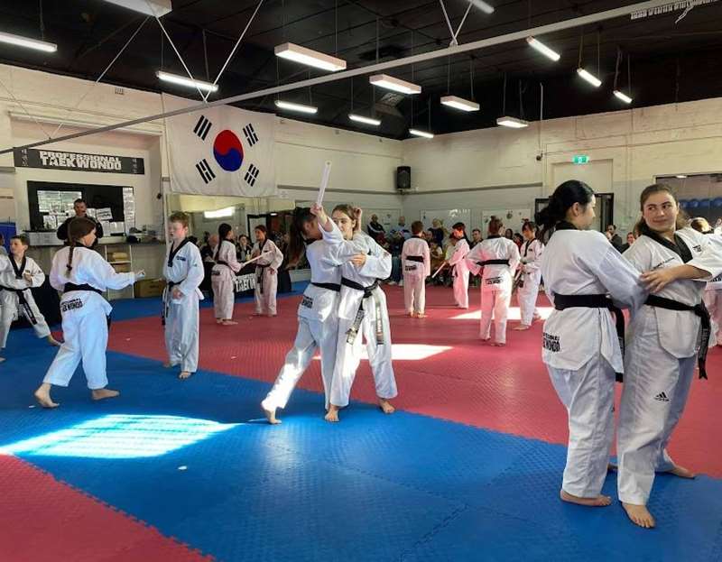 Professional Taekwondo (Moonee Ponds)