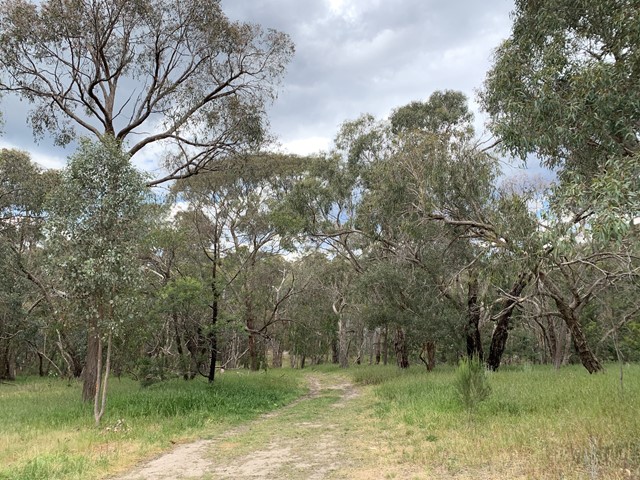 Rattray Reserve Dog Off Leash Area (Montmorency)