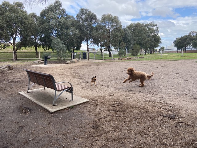 Richards Reserve Fenced Dog Park (Coburg North)