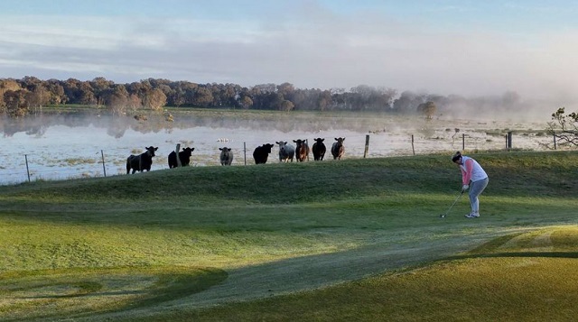 Sale Golf Course (Longford)