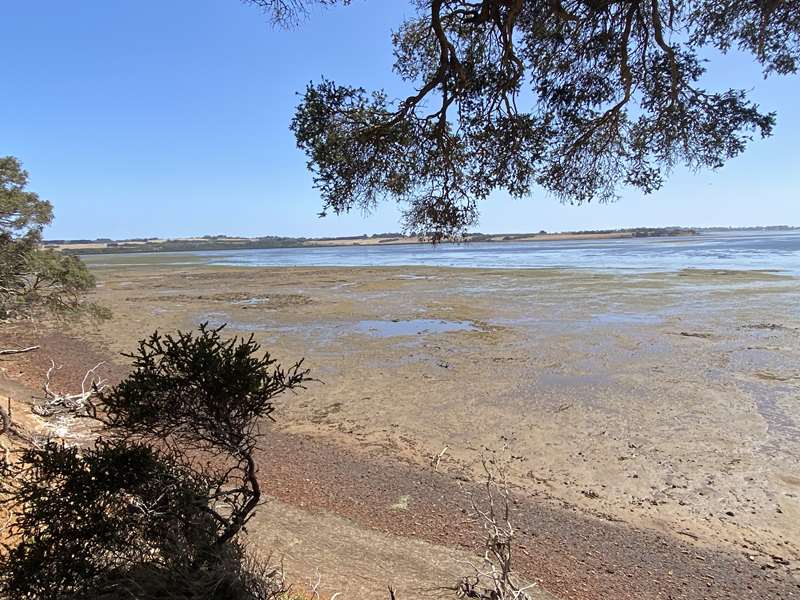 Scenic Estate Conservation Reserve (Phillip Island)