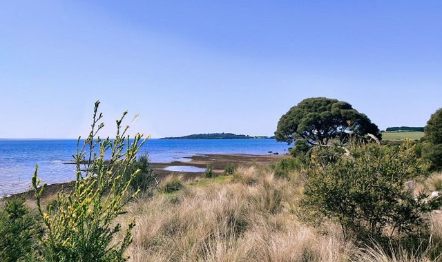 Scenic Estate Conservation Reserve (Phillip Island)