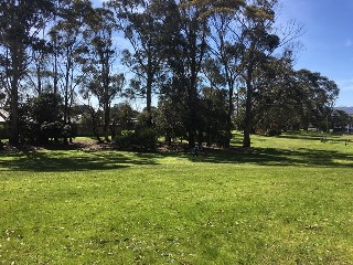 Shire Offices Reserve Dog Off Leash Area (Rosebud)