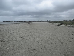 Altona Off Lead Dog Beach