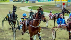 Tabcorp Park Harness Racing, Melton South