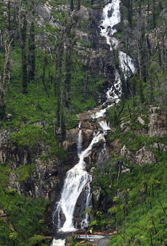 Steavenson Falls Steavenson Falls