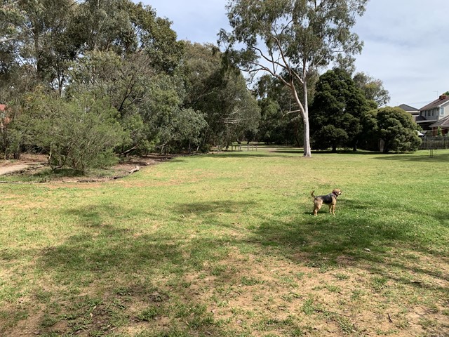 Stradbroke Park Dog Off Leash Area (Kew East)