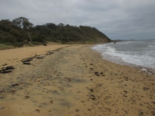 Sunnyside Beach (Mount Eliza)
