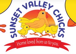 Sunset Valley Chicks (Flowerdale)