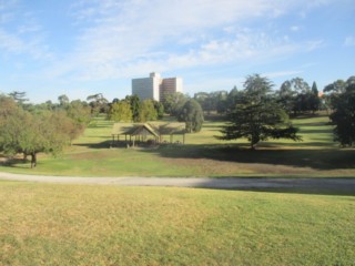 T H Westfield Reserve Dog Off Leash Area (Clifton Hill)