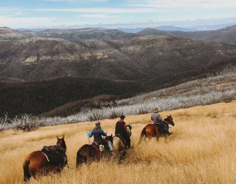 Tamboritha - Snowy Range Horse Riding Tours