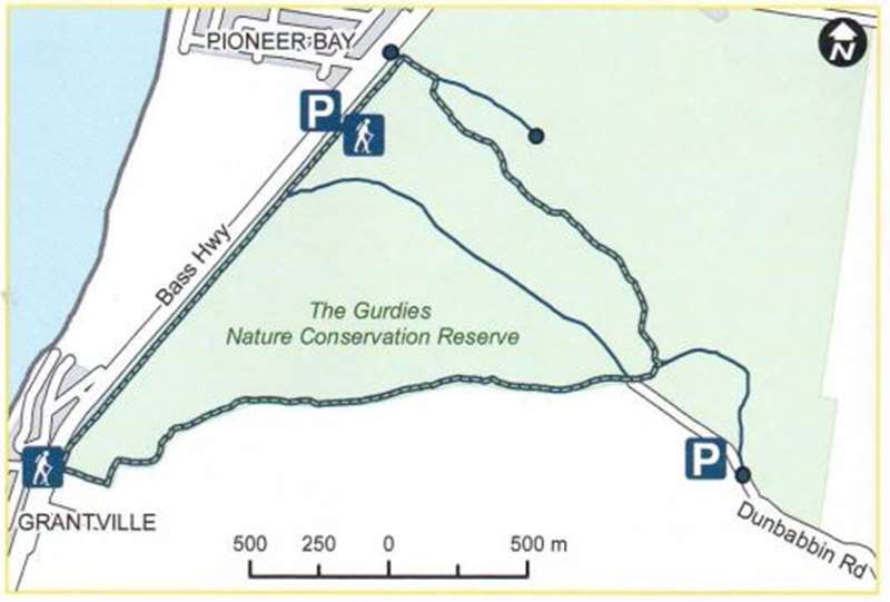 The Gurdies Nature Conservation Reserve (The Gurdies)