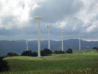 Toora Wind Farm (Toora)