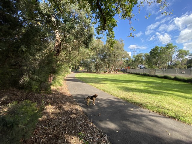 Tooronga Park Dog Off Leash Area (Glen Iris)
