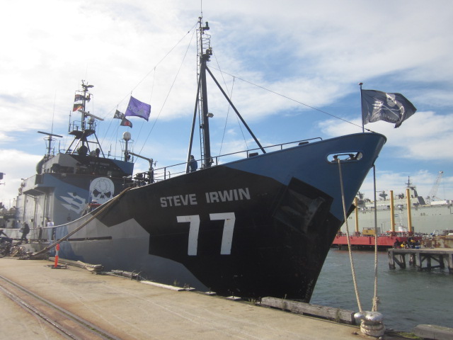 Tour of Sea Shepherd Ships, Williamstown