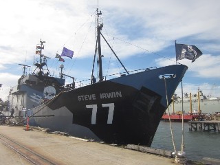 Tour of Sea Shepherd Ships (Williamstown)