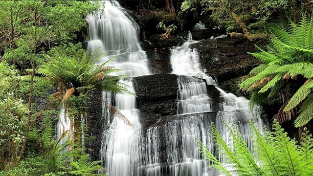 Beech Forest - Triplet Falls and Little Aire Falls