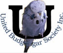 United Budgerigar Society (Ivanhoe)
