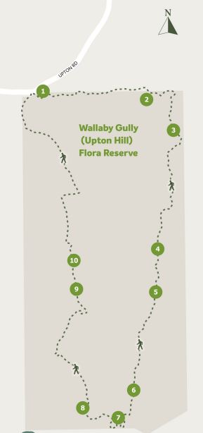 Upton Hill - Wallaby Gully Walk