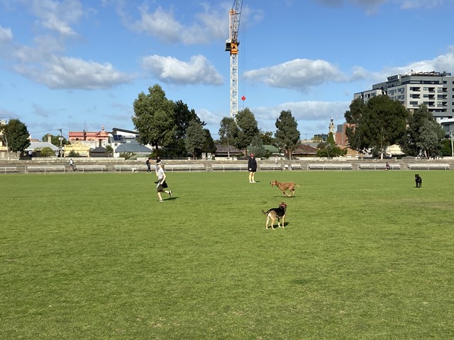 Victoria Park Fenced Dog Off Leash Area (Abbotsford)