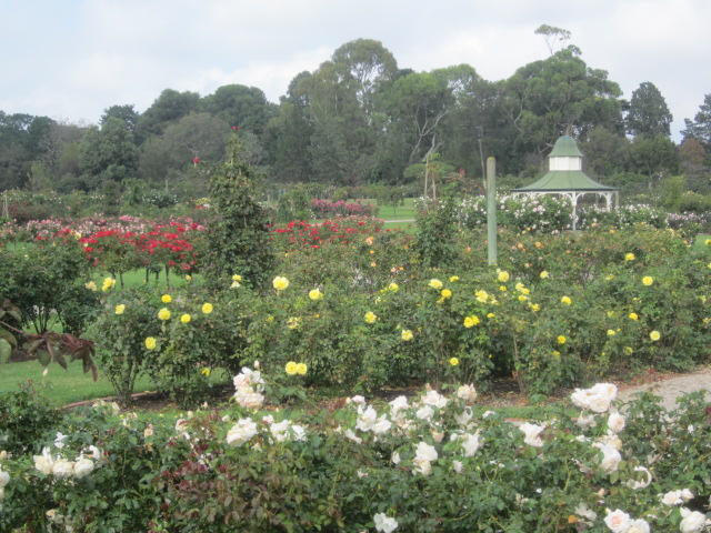 Victoria State Rose Garden (Werribee South)