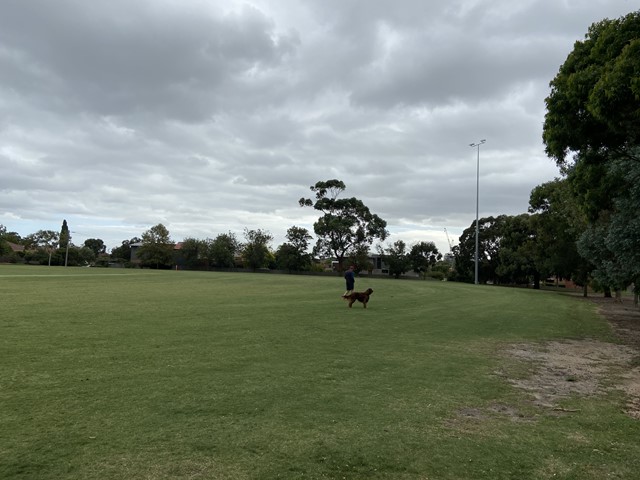 Victory Park Dog Off Leash Area (Bentleigh)
