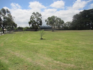 Villawood Reserve Fenced Dog Park (Hastings)