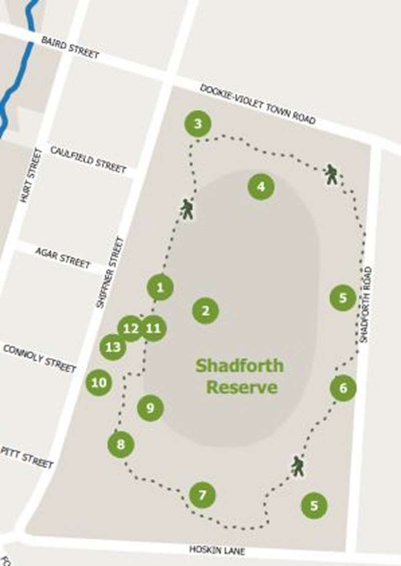 Violet Town - Shadforth Reserve Walk