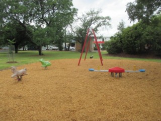 Walter Cottrell Park Playground, Wodonga Street, Wodonga