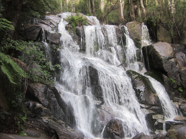 Noojee - Toorongo and Amphitheatre Waterfalls