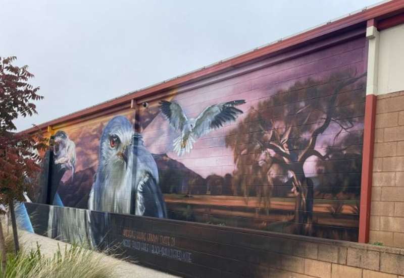 Wedderburn - Birds Eye View Murals