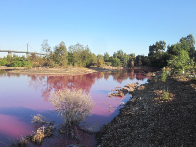 Westgate Park (Port Melbourne)