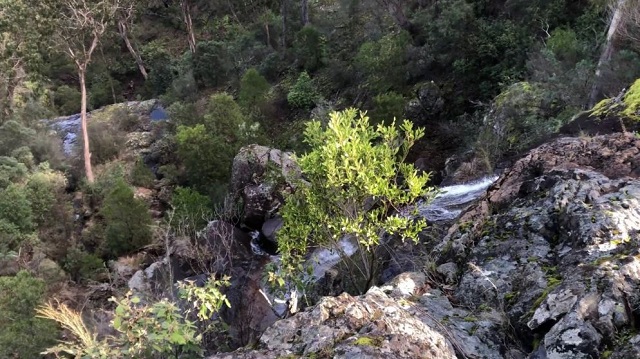Bridge Creek - Wild Dog Creek Falls (Mount Samaria State Park)